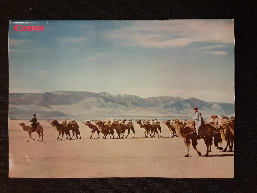 キヤノンサークル　1961年第12号～19号と26号＋わたしのキヤノン　計10冊