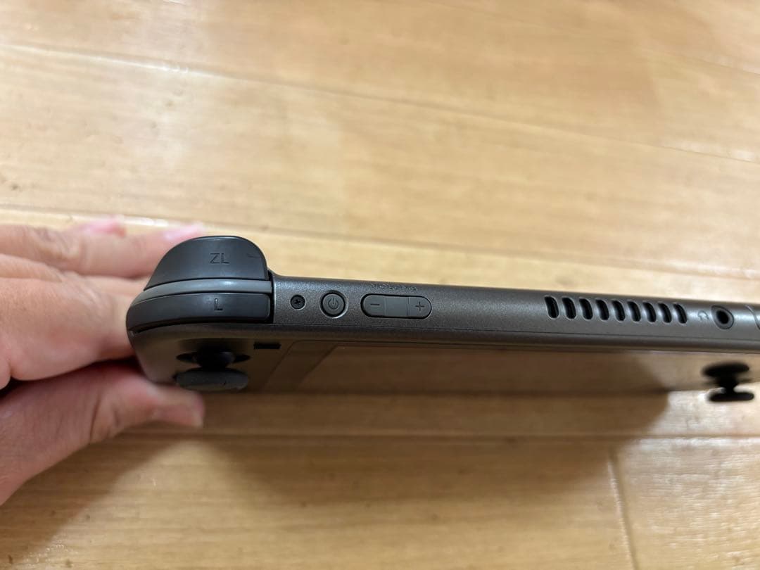 Switch Lite ディアルガ パルキア本体(ケース+SD付き)