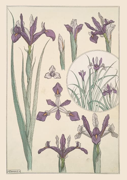 m10★ポスター8枚