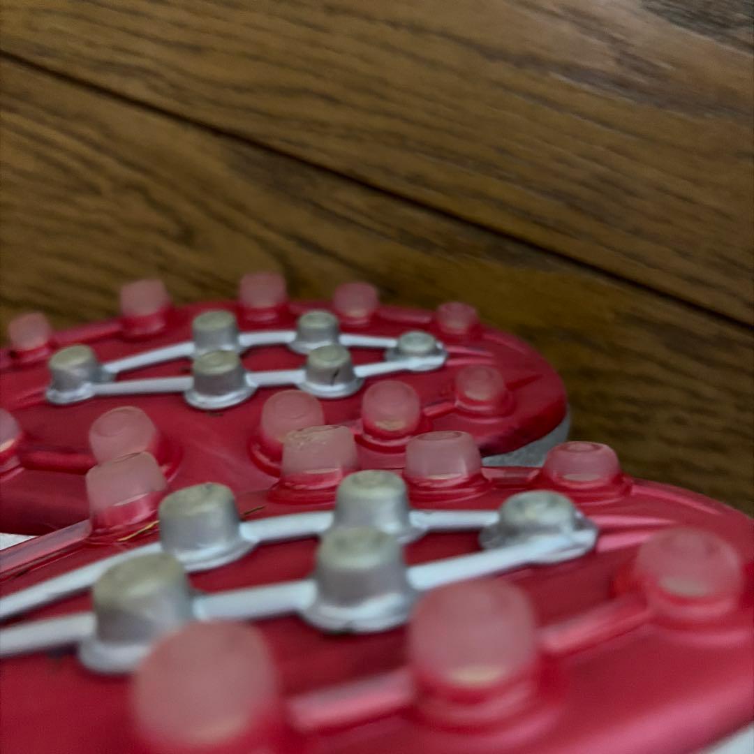 ビスコさん専用