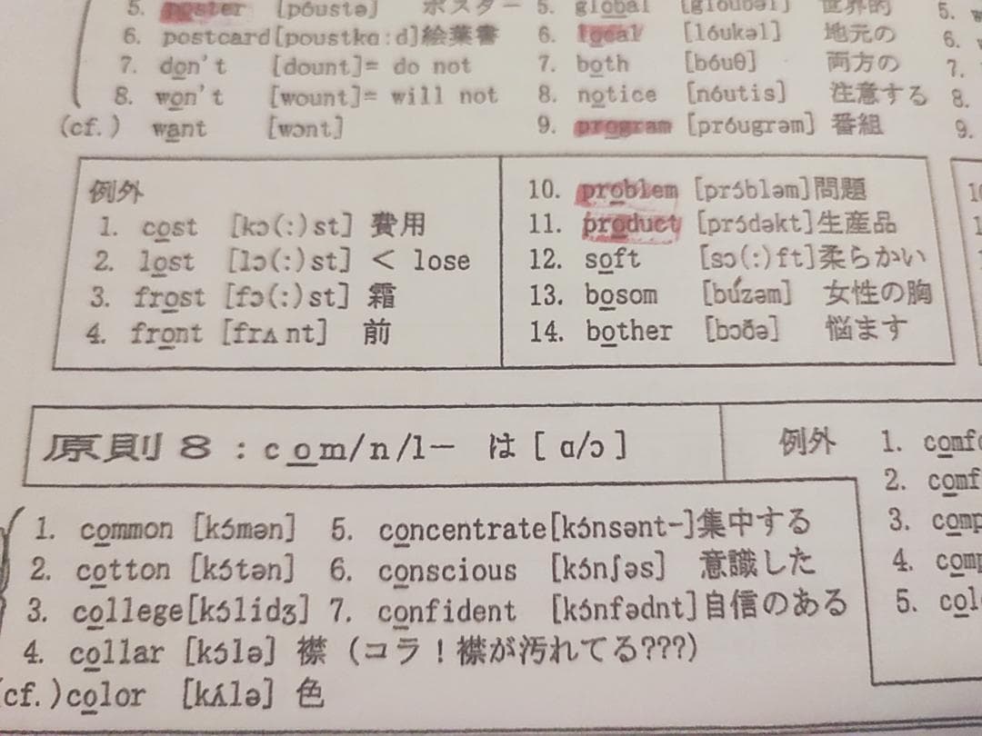 駿台の竹岡先生による語法文法研究Sプリントフルセット　英語　鉄緑会　河合塾