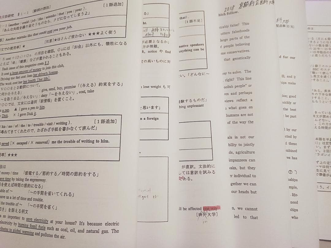 駿台の竹岡先生による語法文法研究Sプリントフルセット　英語　鉄緑会　河合塾