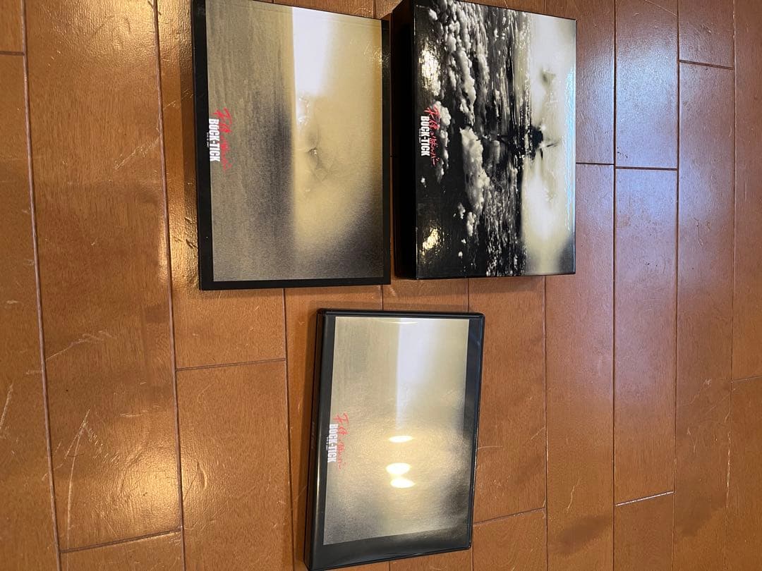 BUCK-TICK 天使のリボルバーDVD