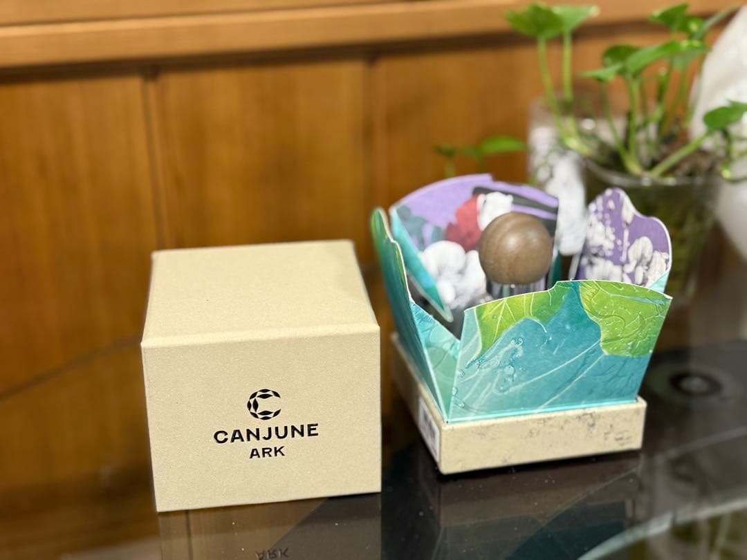 CANJUNE ARK 香水 ボックス付き P.SEVEN 台湾