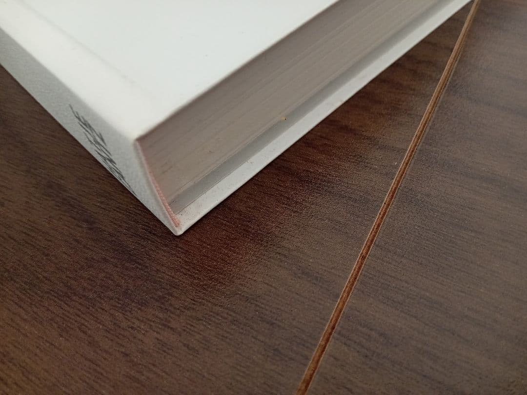 アート Mariko Mori Oneness 森万里子 森美術館 ハードカバー