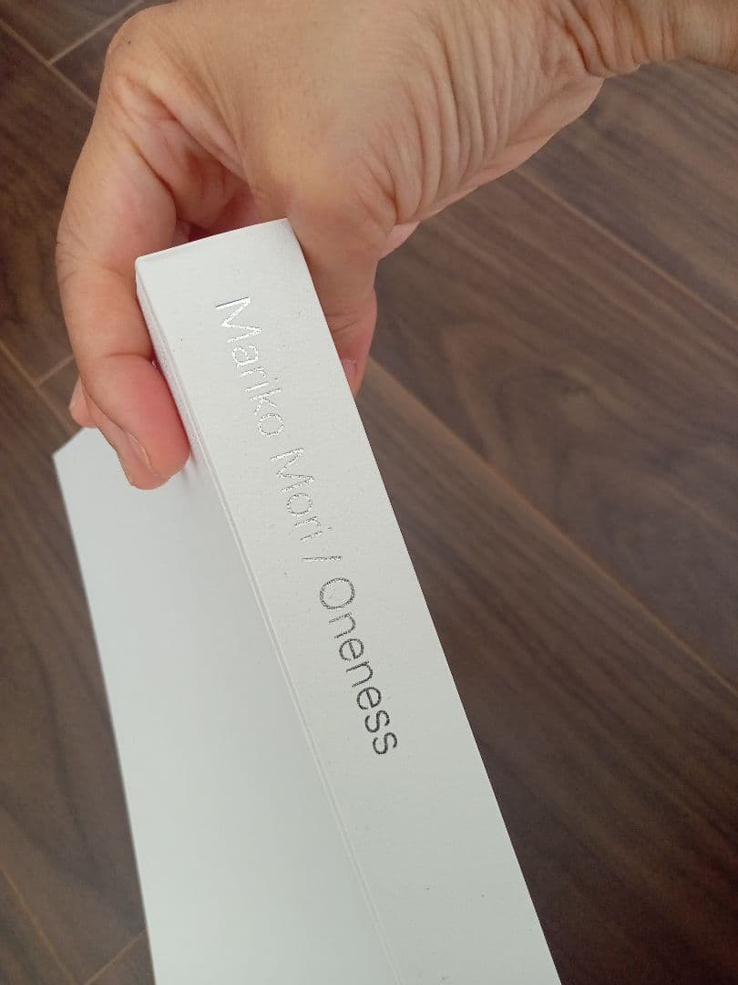 アート Mariko Mori Oneness 森万里子 森美術館 ハードカバー