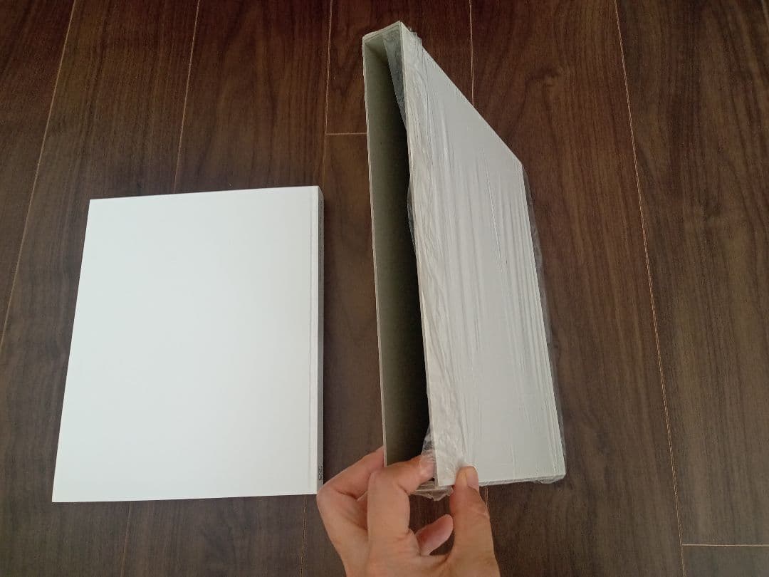 アート Mariko Mori Oneness 森万里子 森美術館 ハードカバー