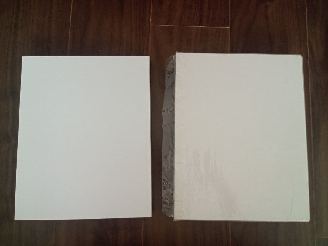 アート Mariko Mori Oneness 森万里子 森美術館 ハードカバー