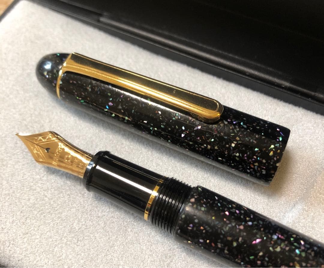 PLATINUM プラチナ万年筆　♯3776 漆蒔絵　ペン先18K 中字