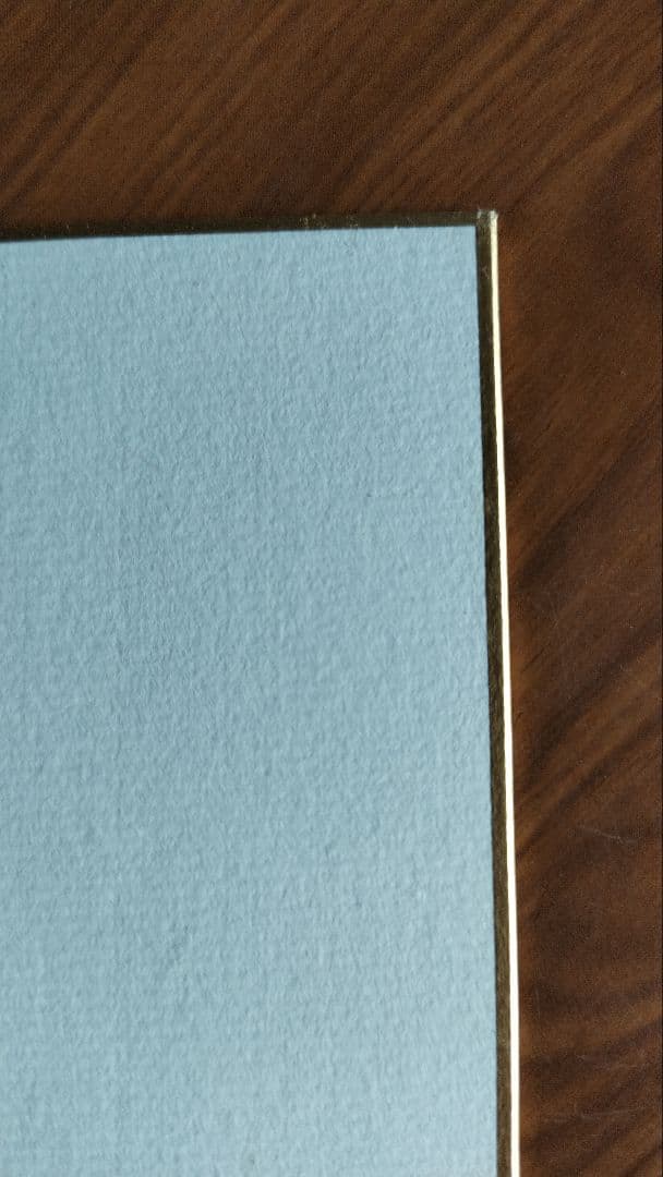 中田英寿選手 サイン色紙