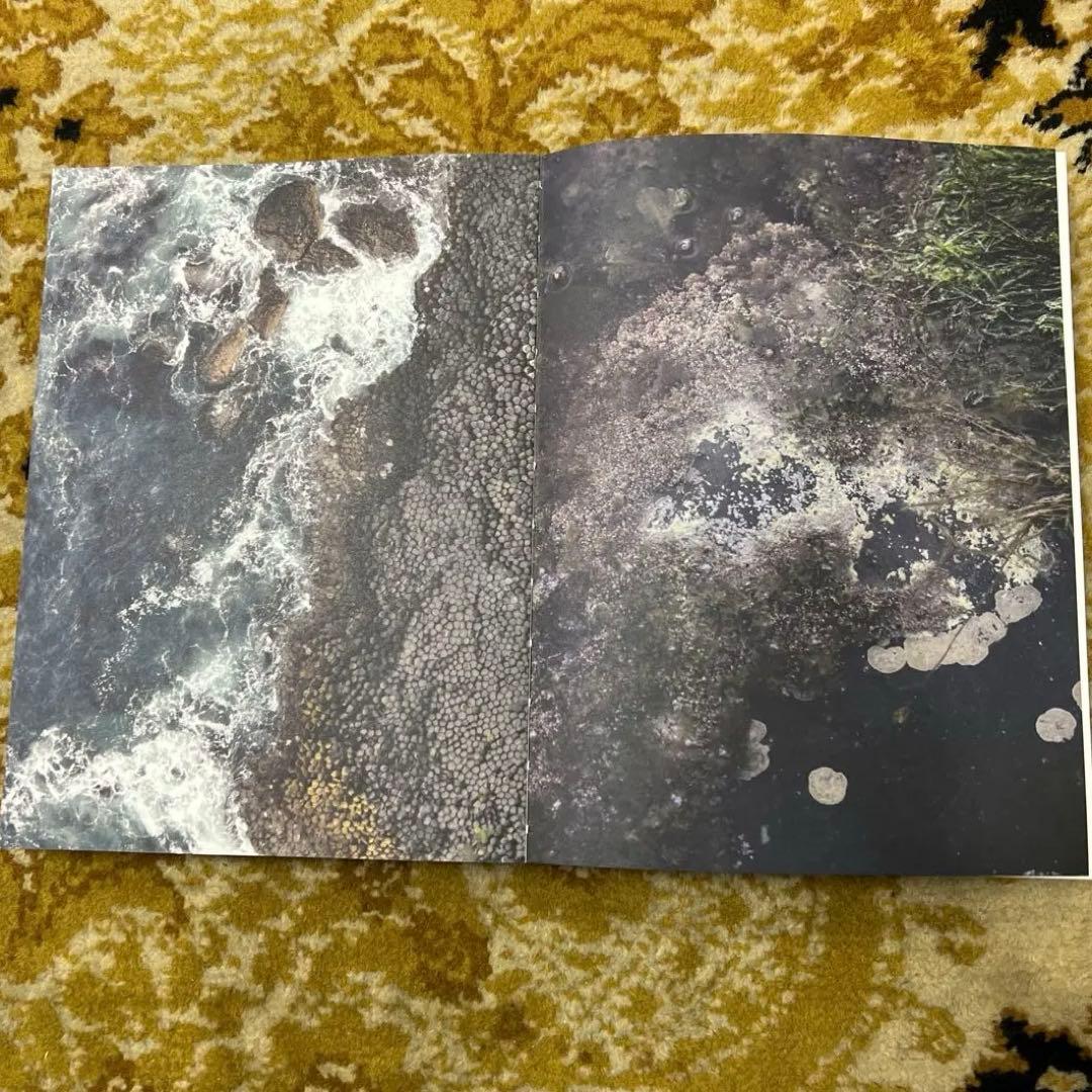 birgitta de vos アートブック　珍書