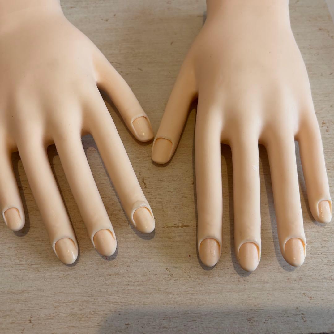 ネイリスト 技能検定試験用 JNEC認定 モデルハンド ルースキューティクル付き