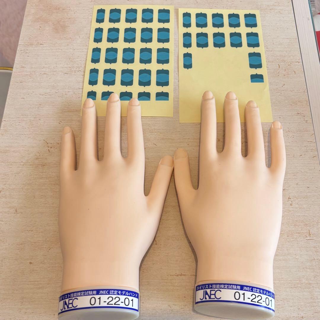 ネイリスト 技能検定試験用 JNEC認定 モデルハンド ルースキューティクル付き