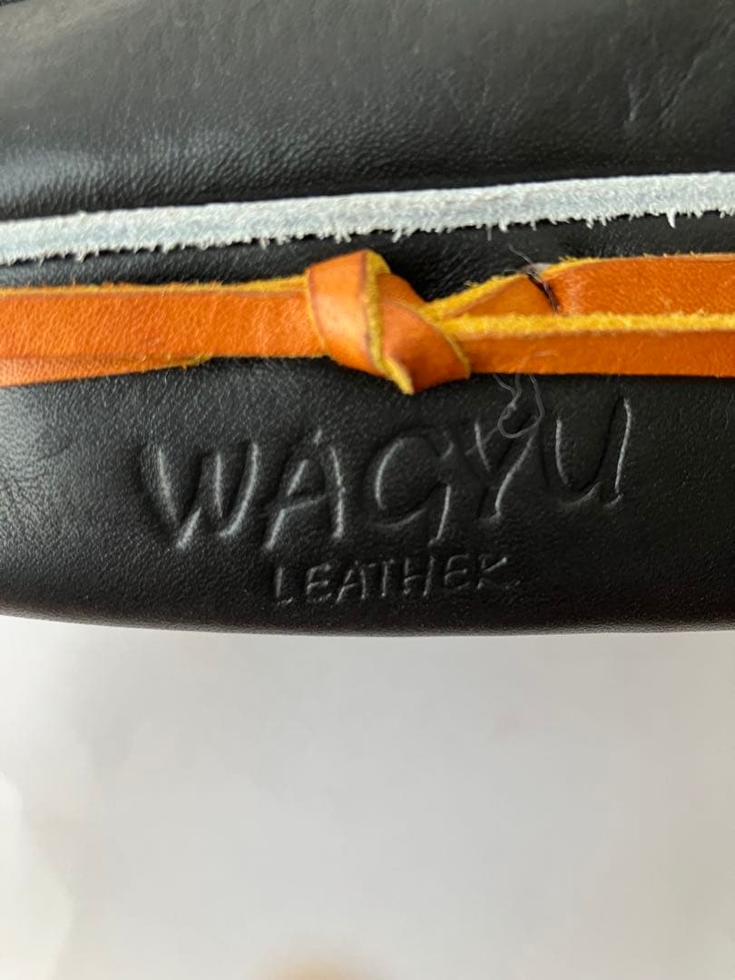 ワールドペガサス　グランドペガサス　新品未使用　内野　硬式　日本製