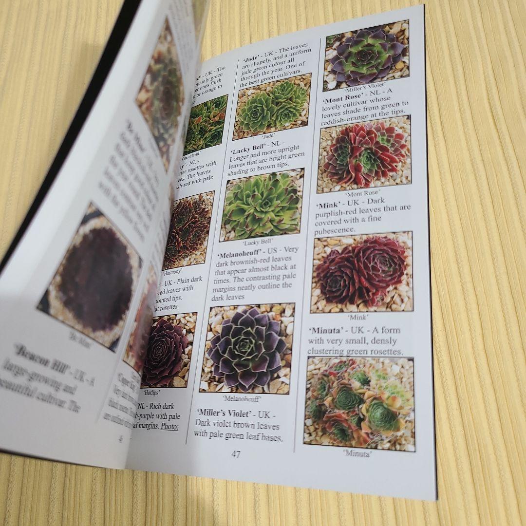 希少 Sempervivum and Jovibarba