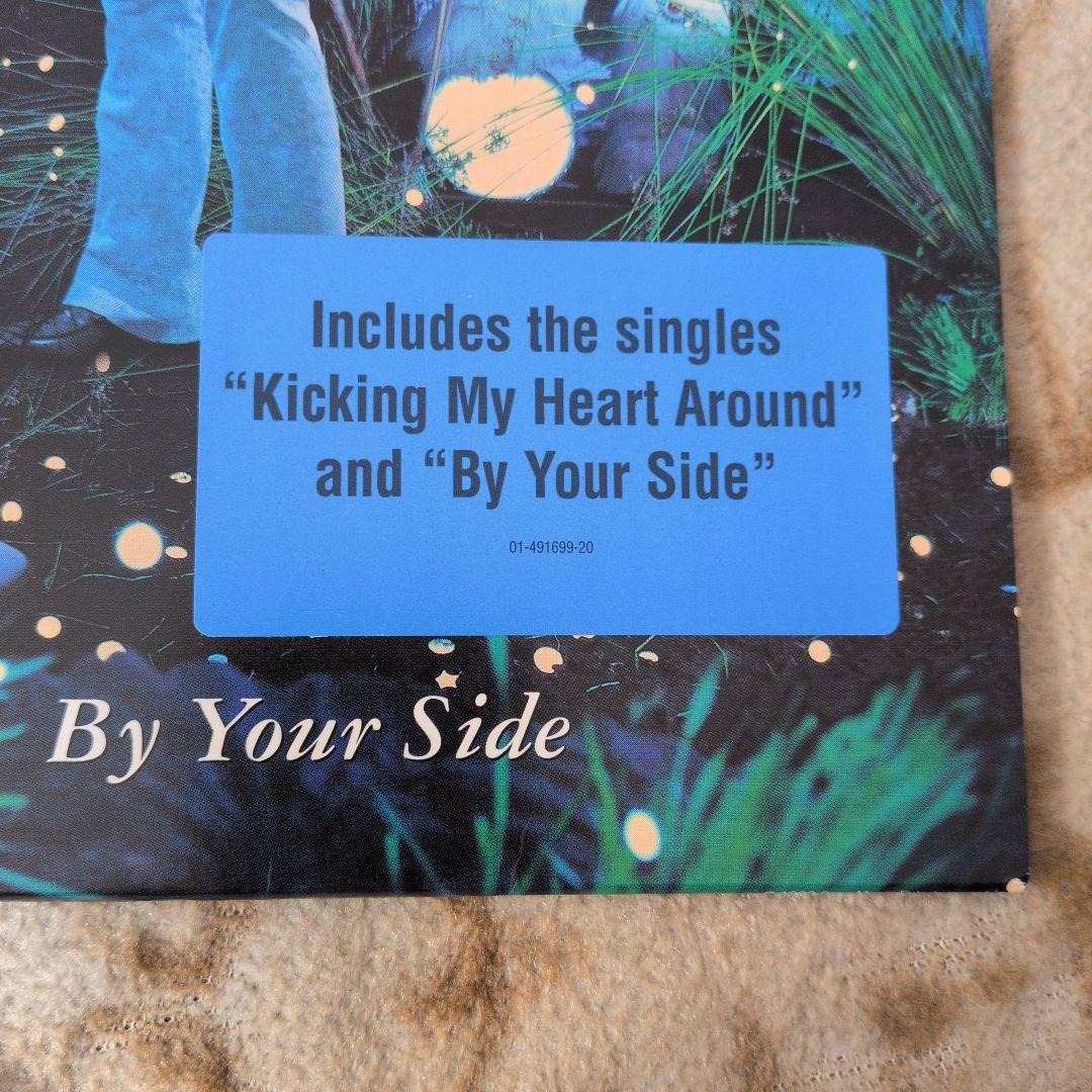 THE BLACK CROWES「By Your Side」