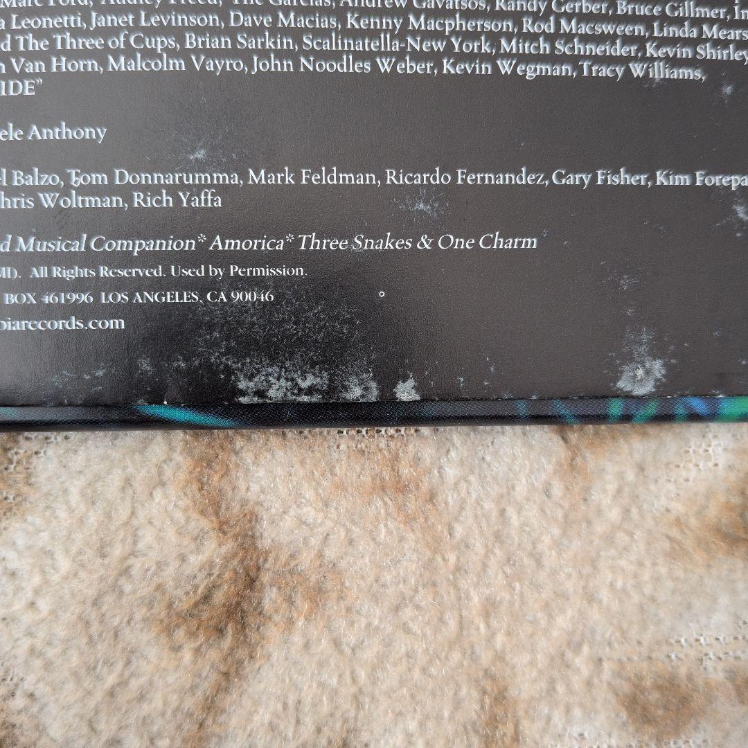 THE BLACK CROWES「By Your Side」