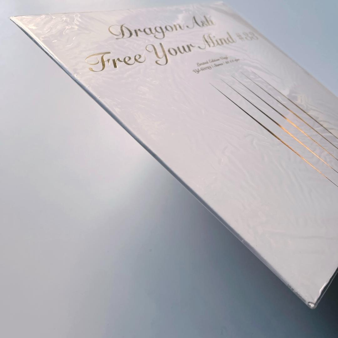 稀少 12インチレコード Dragon Ash Free ドラゴン・アッシュ