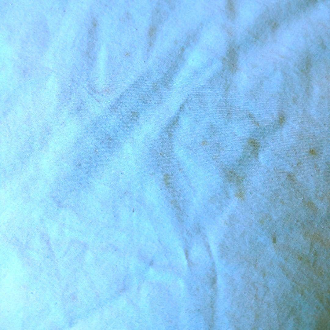 ダウン95%　羽毛布団ダブル 1