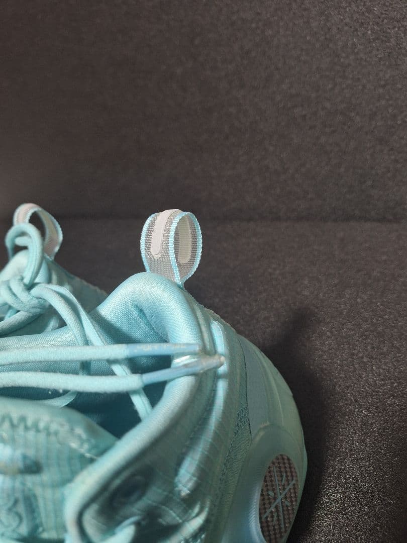 リーニン wayofwaed10 26.5箱あり