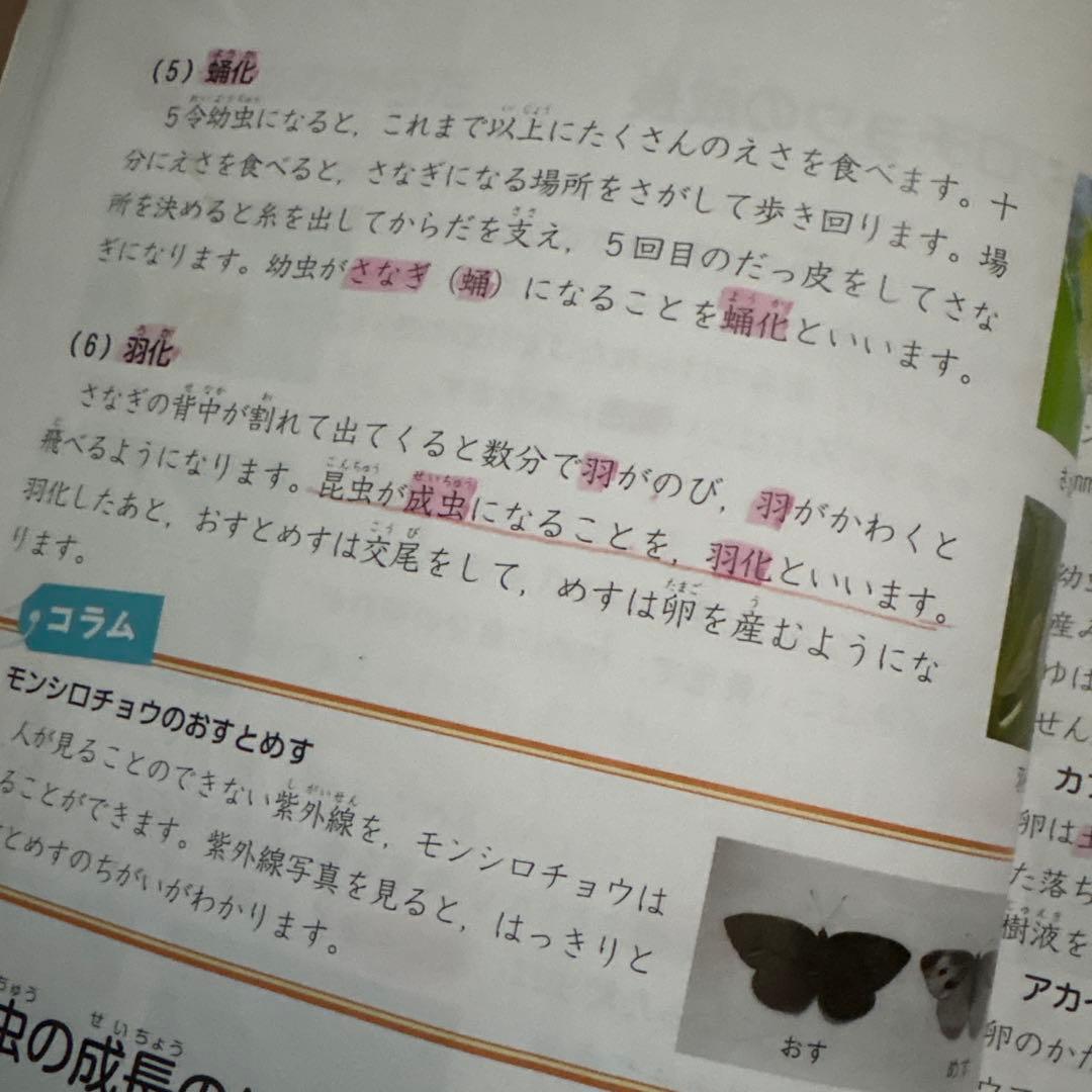予習シリーズ 4年生 教材セット