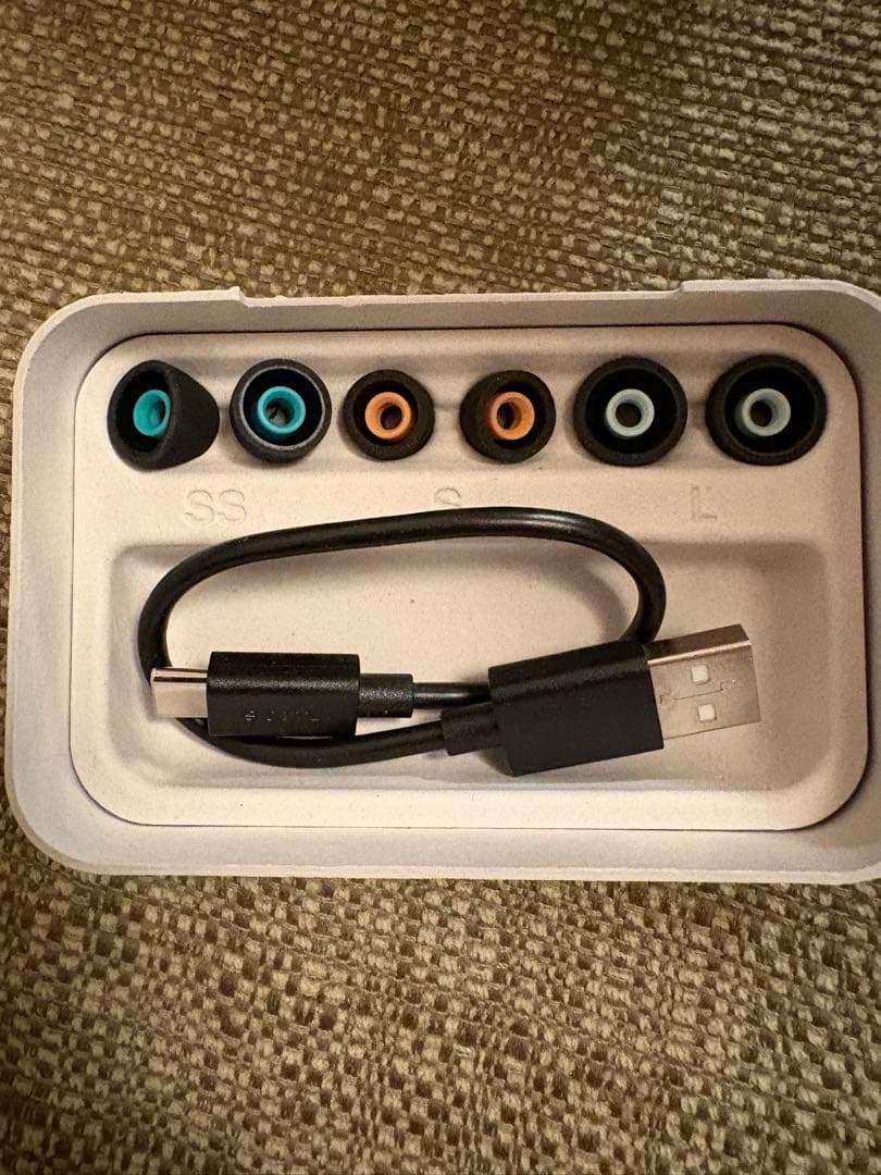 【こーさん専用】SONY WF-1000XM5 ブラック