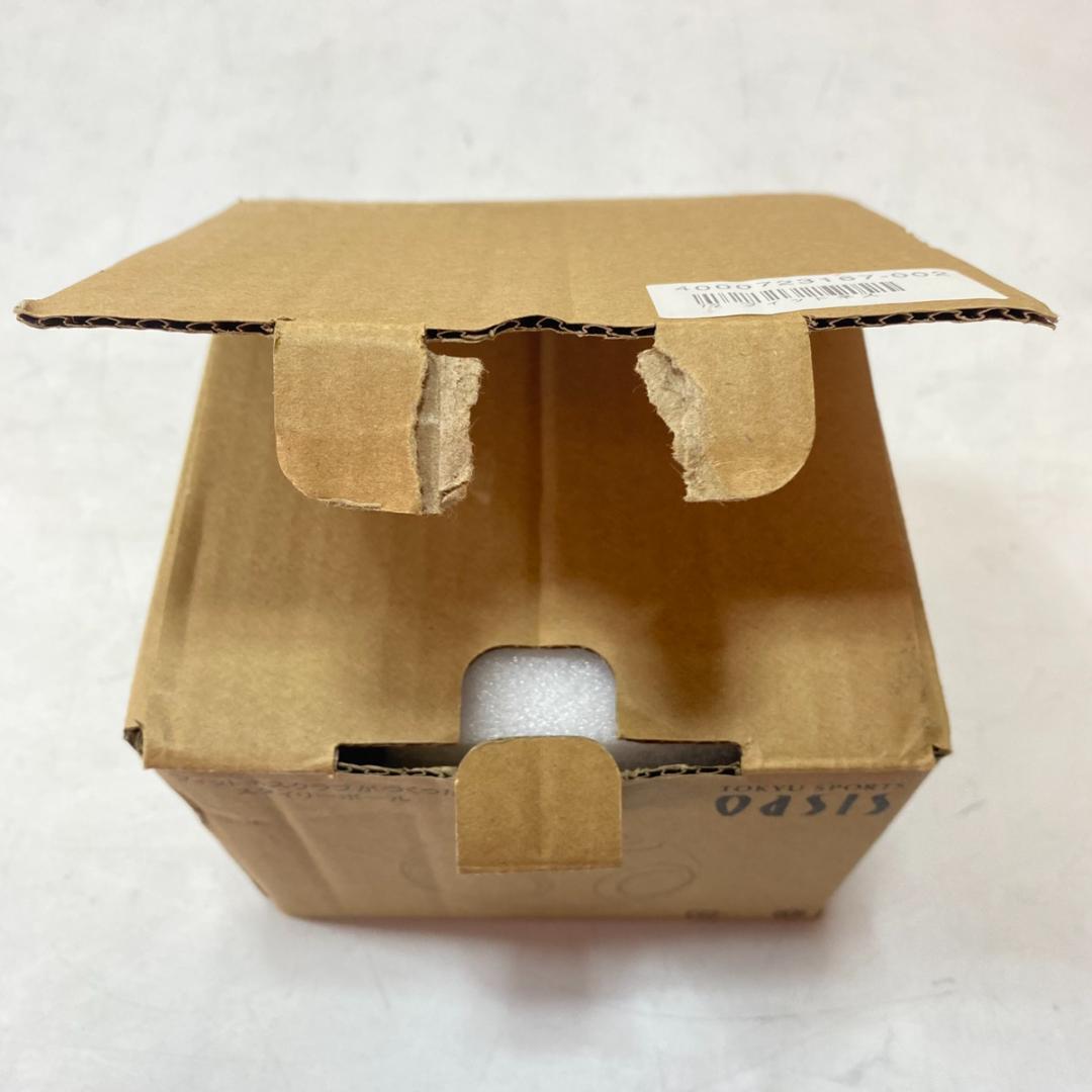 東急スポーツオアシス スタイリーボール SLB-100