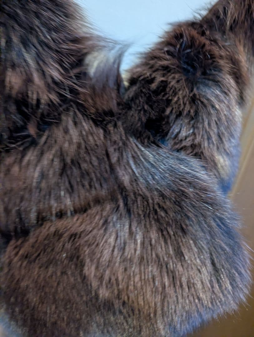 SAGA FOX ボリュームショール