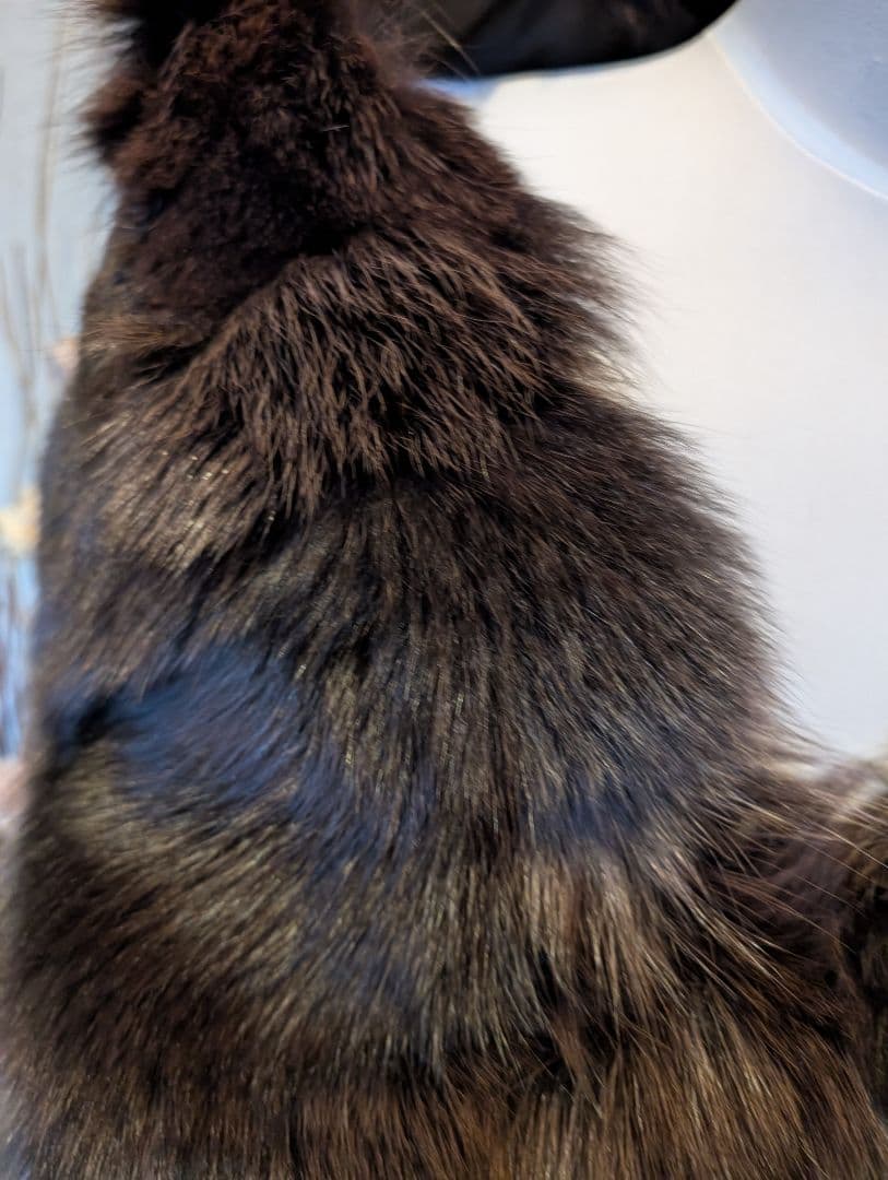 SAGA FOX ボリュームショール