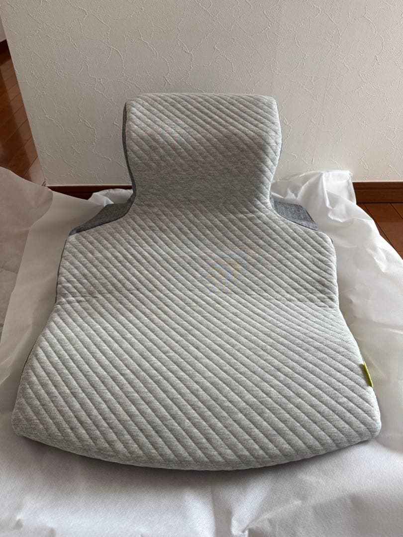 西川Keeps ピロークッション＋専用カバー付き