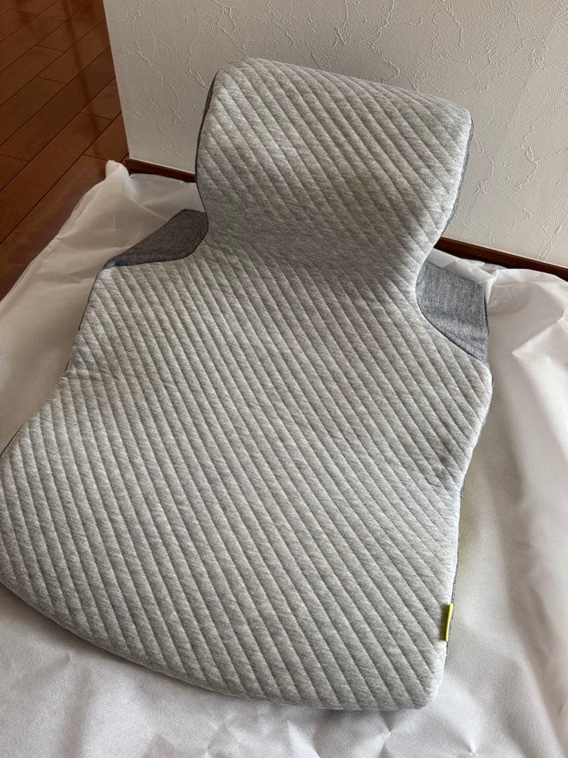 西川Keeps ピロークッション＋専用カバー付き