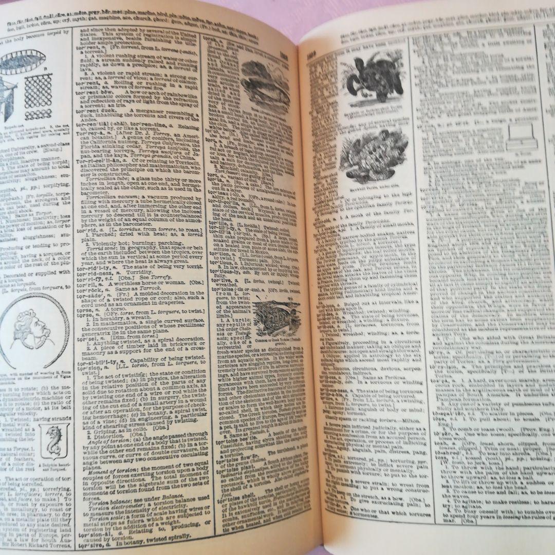 Webster’sNewTwentiethCenturyDictionary