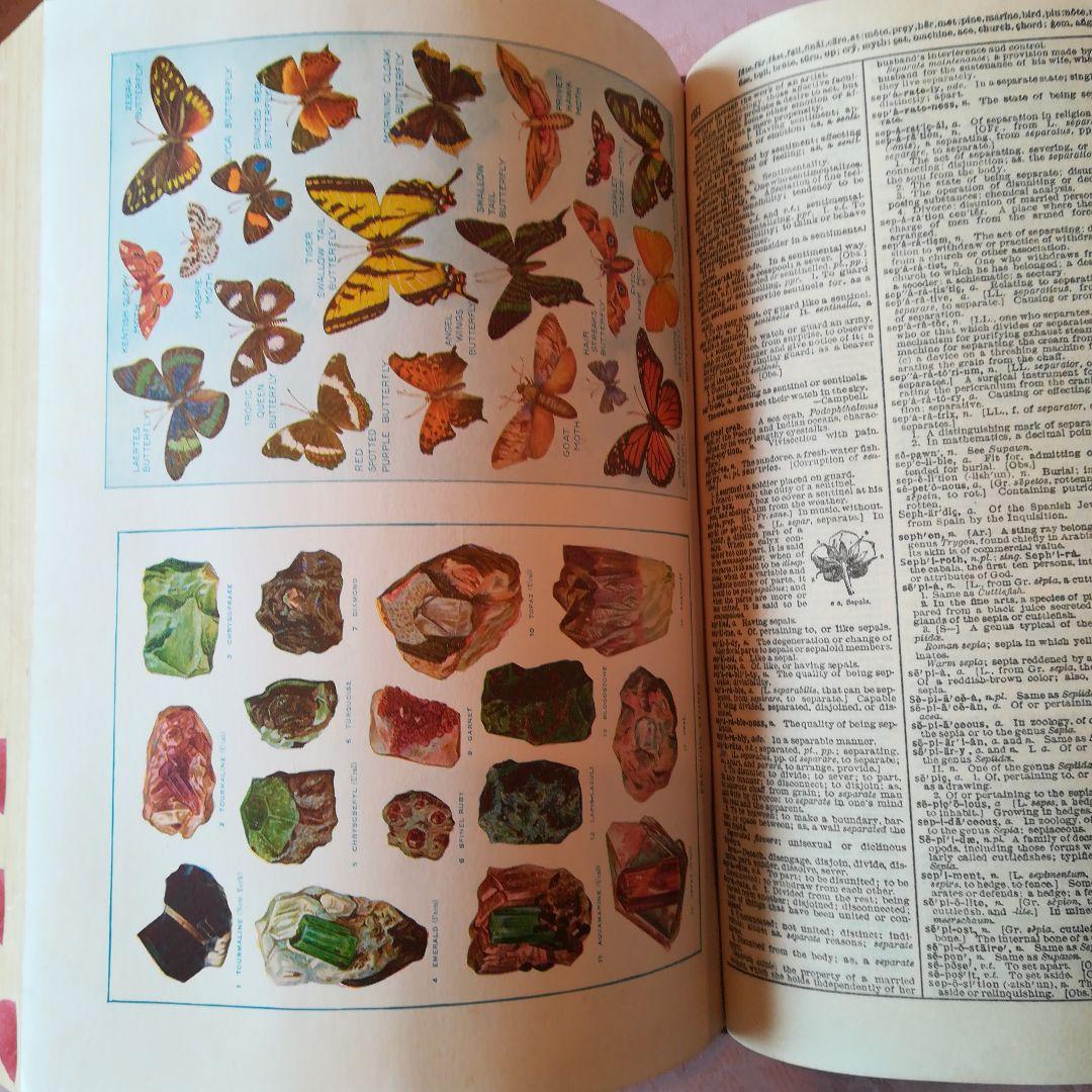 Webster’sNewTwentiethCenturyDictionary