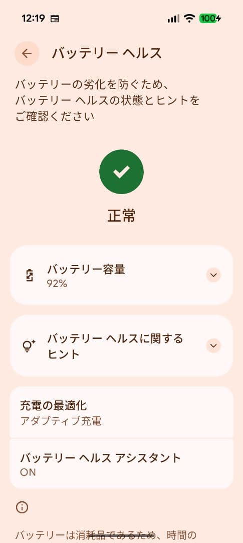 google Pixel 9 pro XL 本体　美品　simフリー