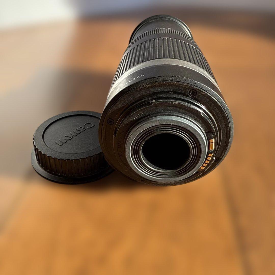 Canon/EFS55-250mm f/4-5.6IS/望遠レンズ