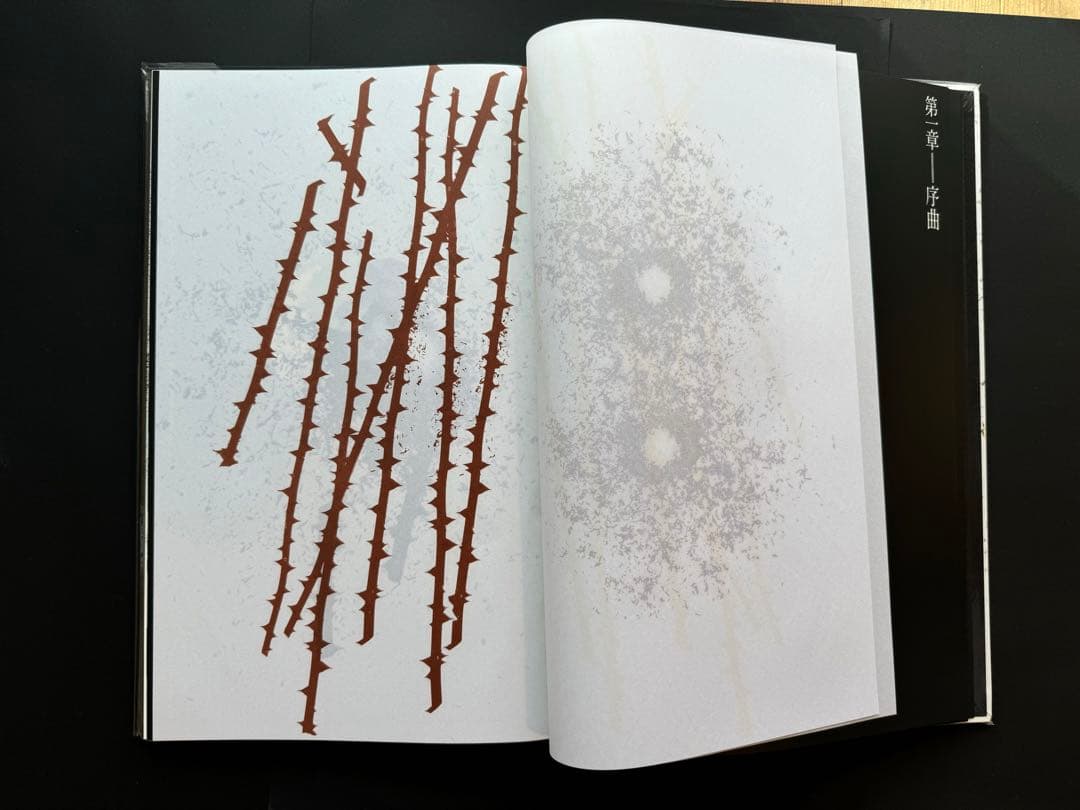 薔薇刑　細江英公　三島由紀夫　完全復刻版　NADiff 2008