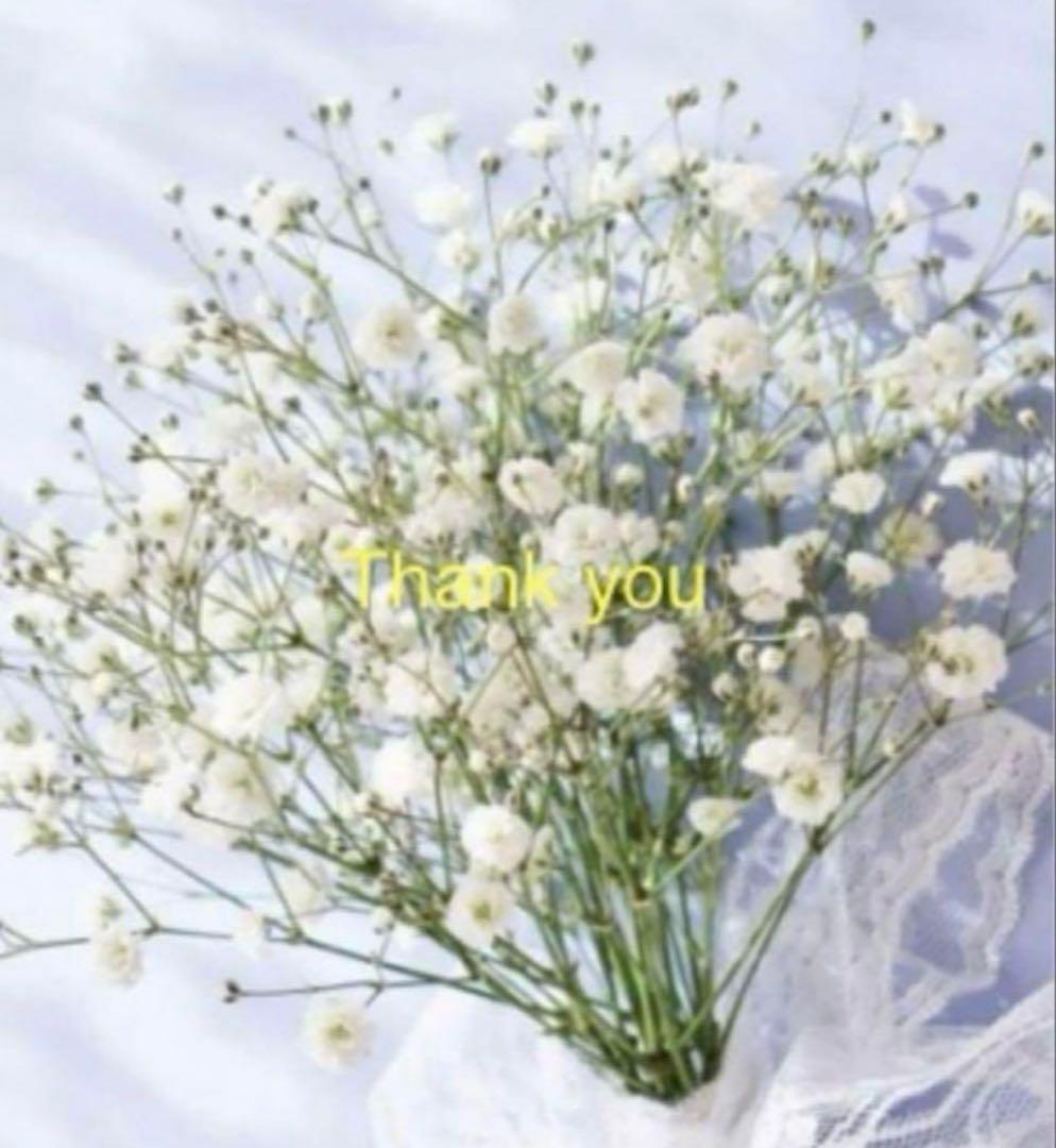 ★Star★プロフに情報記載★様