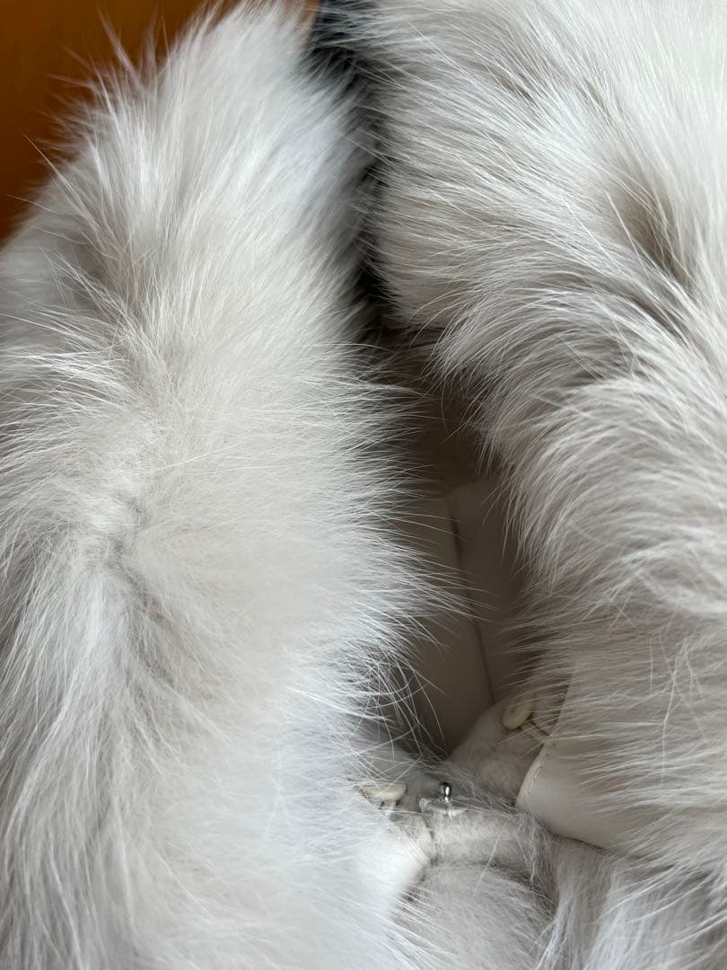 【最終お値下げ！！即買いOK新品未使用 】 シルバーフォックスマント