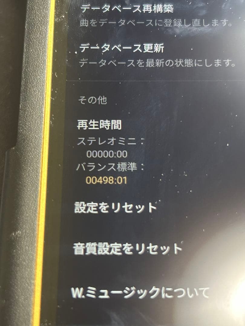 NW-WM1ZM2本体＋レザーケース