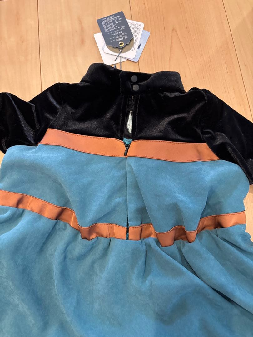 アナと雪の女王　戴冠式　エルサ　ドレス