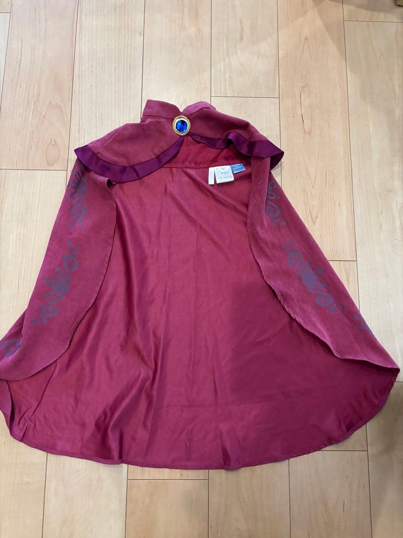 アナと雪の女王　戴冠式　エルサ　ドレス