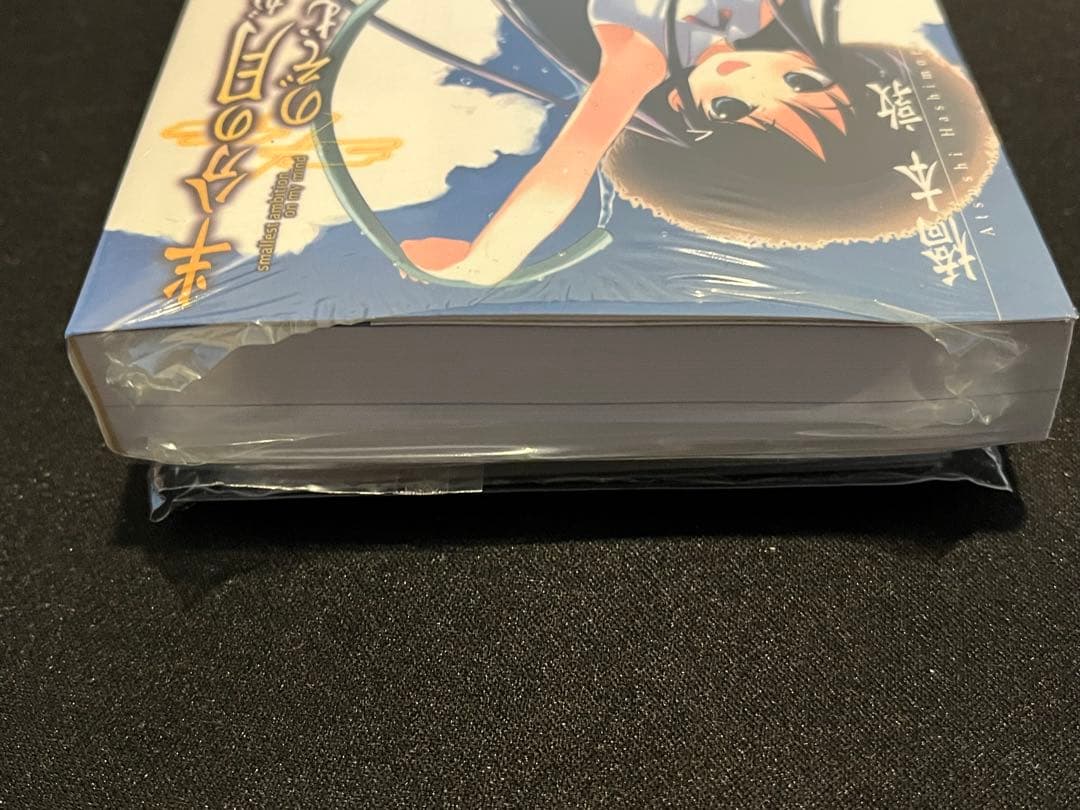 【新品未開封】半分の月がのぼる空 偽9巻　半分の月がのぞむ空9 同人誌