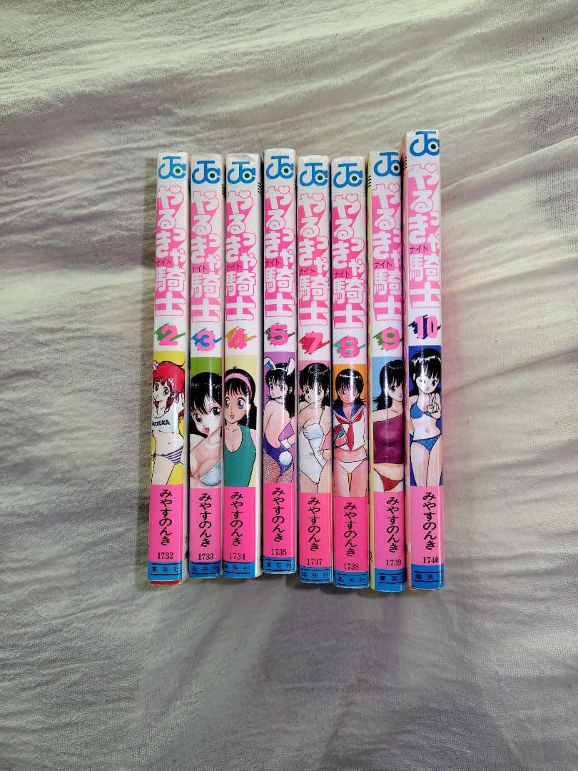 やるっきゃ騎士　8冊