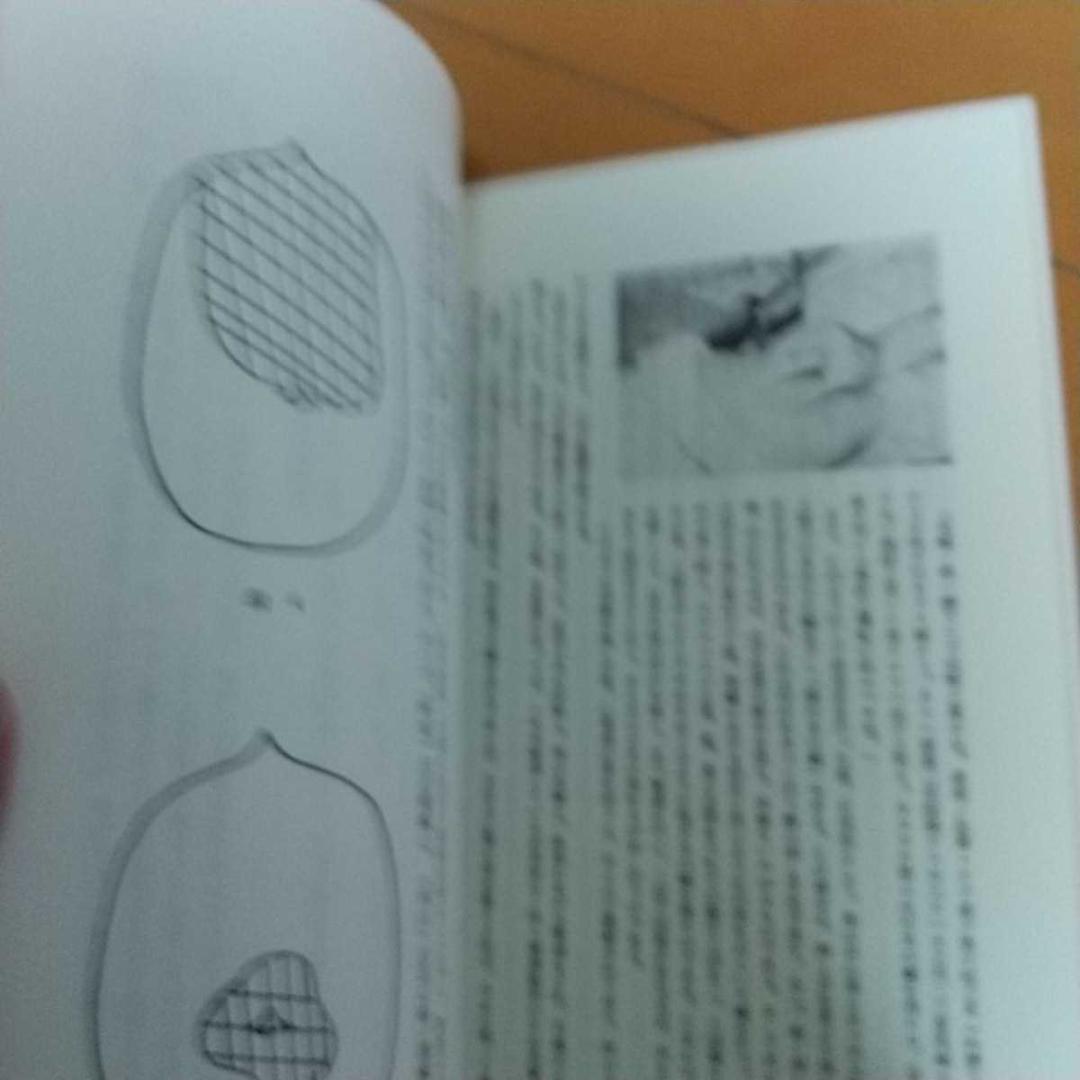 伝統医学の諸問題　藤本蓮風　藤原知　打鍼　無分流　　鍼灸　東洋医学 針灸　気功