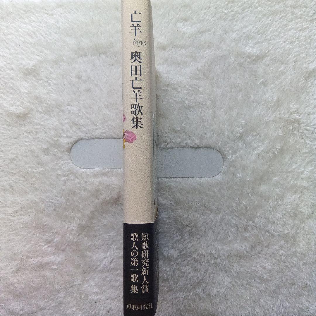 亡羊　奥田亡羊歌集　短歌研究社