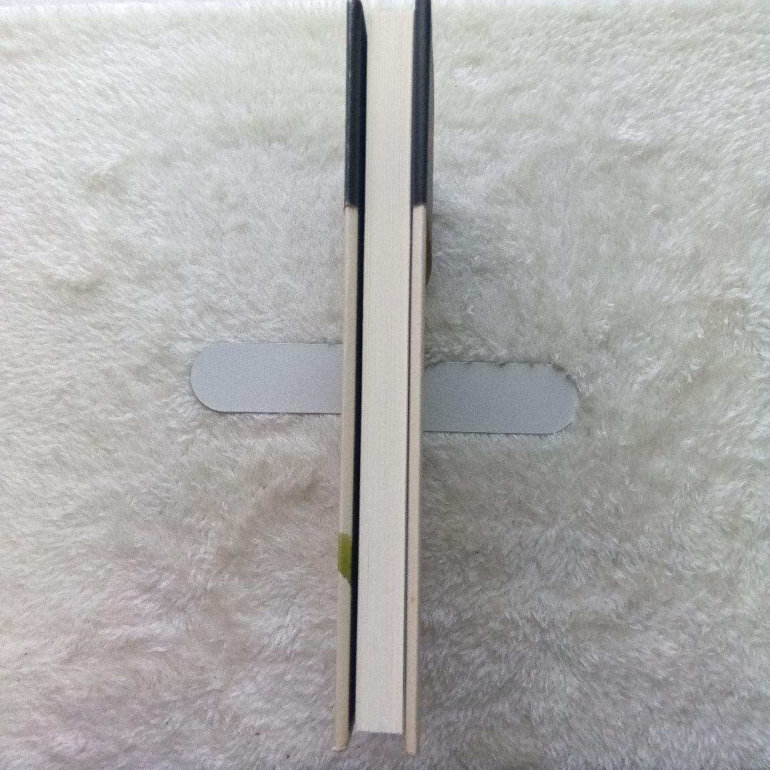 亡羊　奥田亡羊歌集　短歌研究社