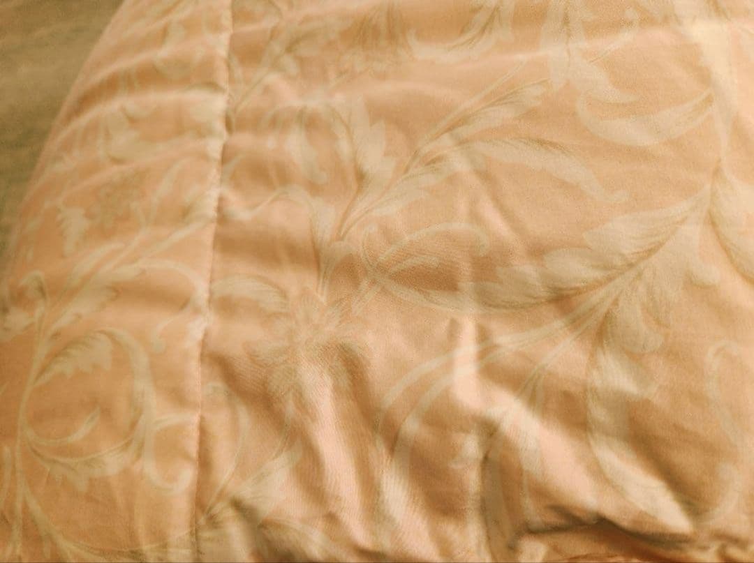 ハンガリー羽毛布団掛け布団ホワイトグースダウン　シングルロング