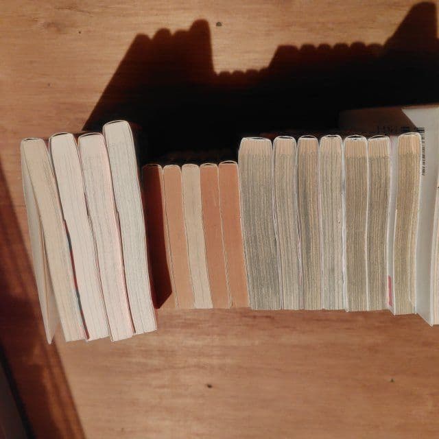 奇才　漫☆画太郎　セット珍遊記　　世にも奇妙な漫☆画太郎　罪と罰　漫画太郎