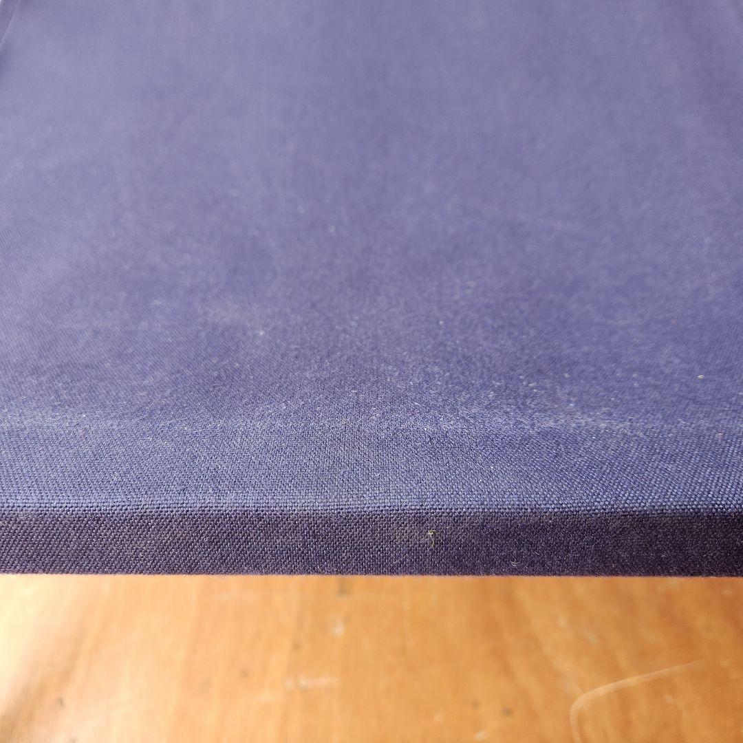 オーストラリア製 SOU WESTER 折り畳みチェア　ビーチチェア