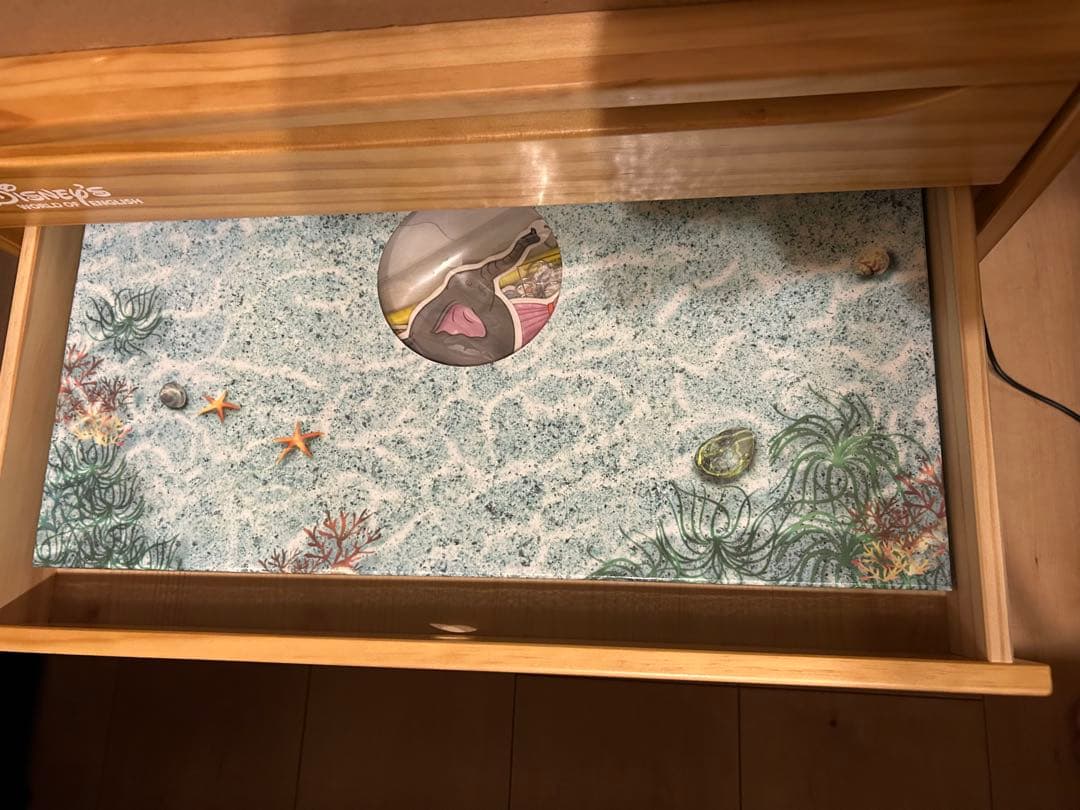 レッツプレイ DVDディズニー英語システム DWE 道具箱